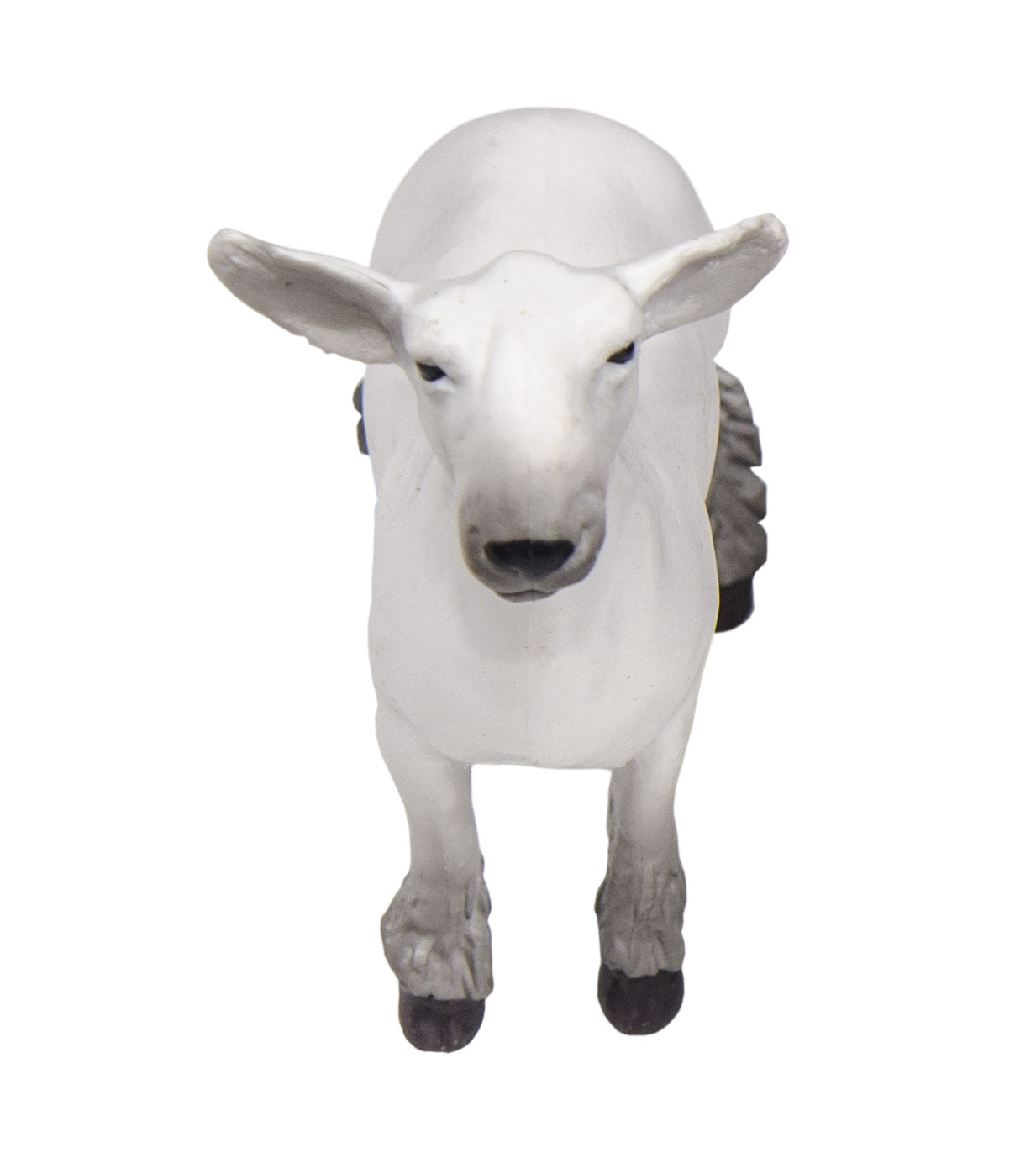 Lamb Front View.jpg